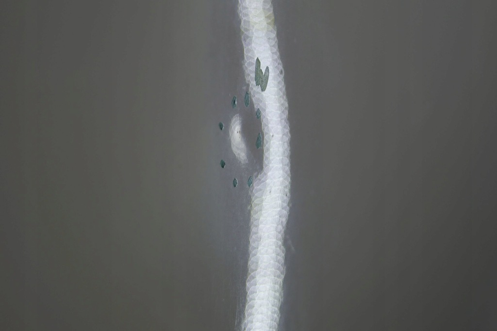 фото №12, Nissan note e11 lift двері правий перед 326g d1827