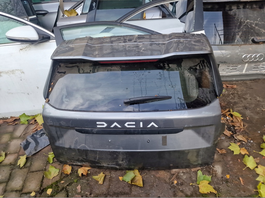 фото №1, Кришка багажника багажника dacia duster iii 2024 rok