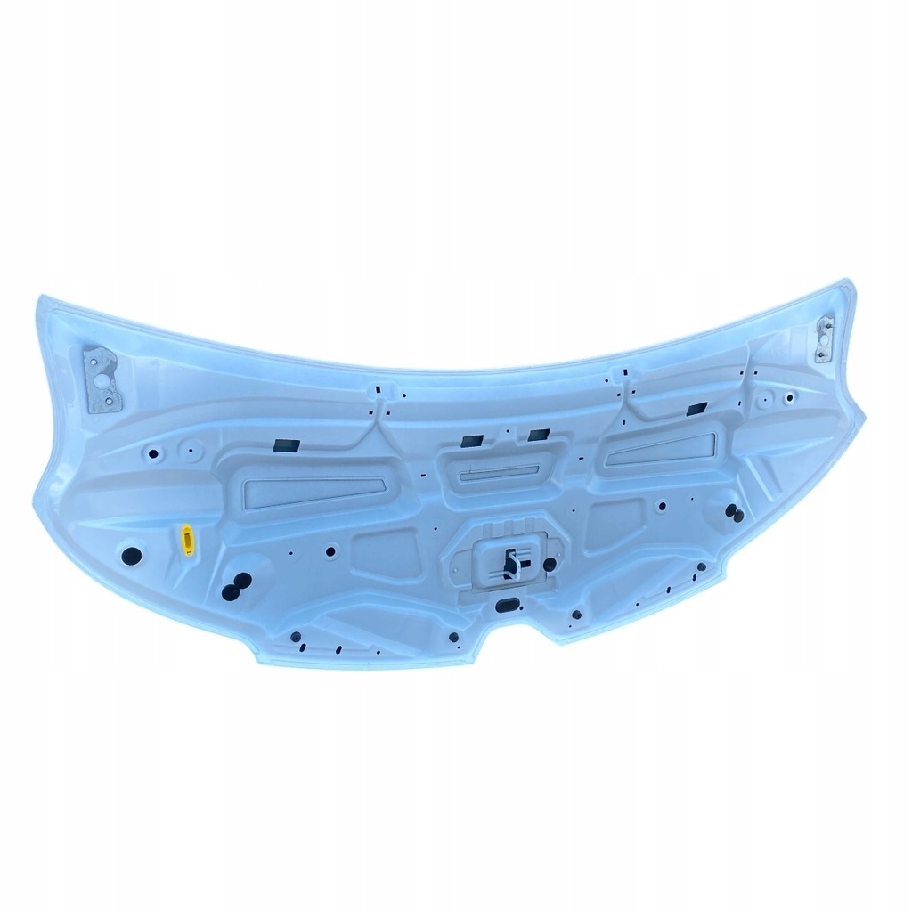 фото №11, Капот белый renault master iii lift 651005058r