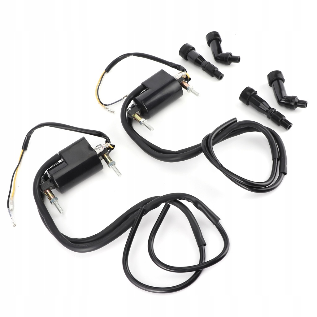 Набор катушек зажигания 21121-1174/21121-1001 заменитель подходящий к modeli в Украине