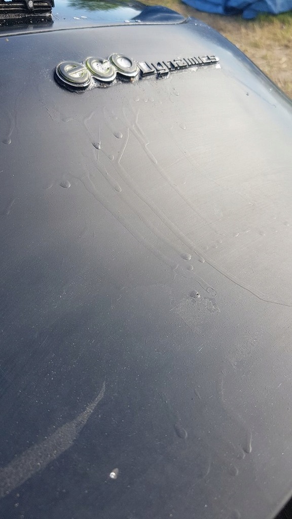 фото №12, Крышка багажника багажника z1eq kia picanto ii