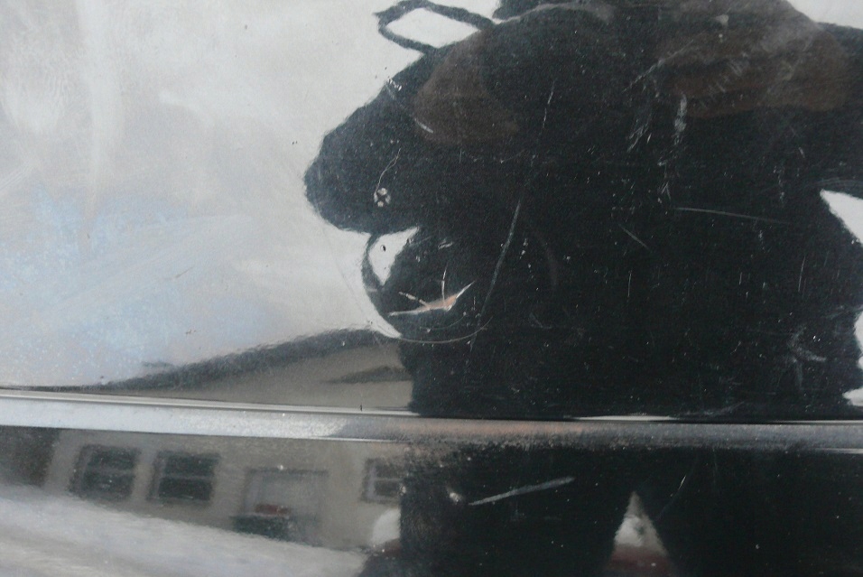 фото №12, Бампер задняя задний bmw seria 5 e60 lift 06-10 7178176