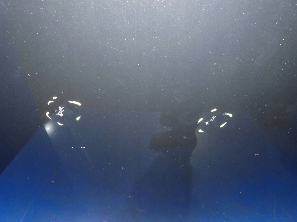 Volvo xc90 2 капот крышка двигателя перед 487-46 в Украине