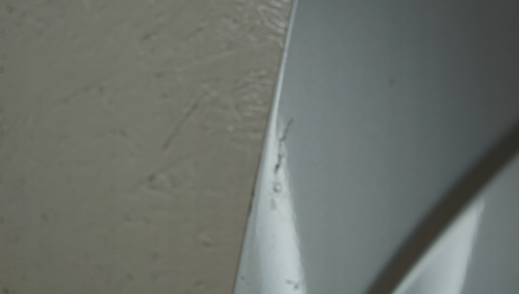 фото №10, Крила правий перед opel meriva a lift