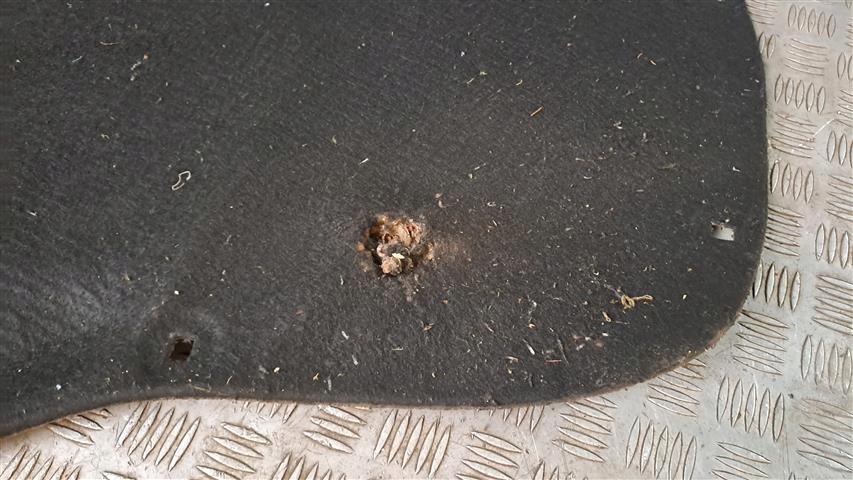 фото №3, Seat leon ii lift шумоизоляция капот + клипсы