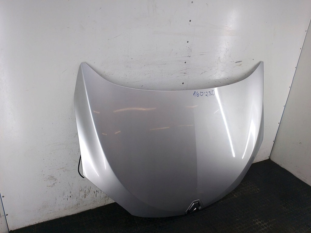 фото №2, Капот renault megane iii ted69