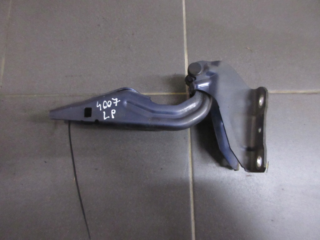 фото №1, Петля петли капот комплект peugeot 4007 t65