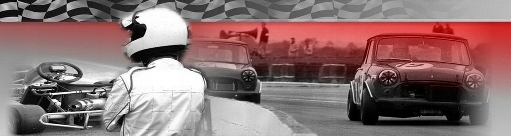 фото №4, Спортивный фильтр воздуха renault thalia ii 1.4 16v simota