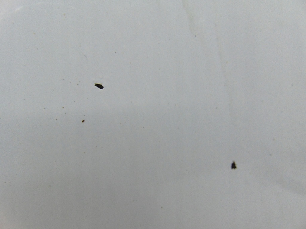 фото №5, Двері праве правий перед передні vw passat b7 lb9a