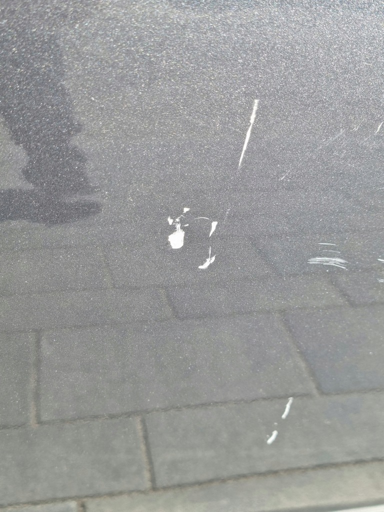 фото №5, Suzuki ignis iii двері праве передні перед