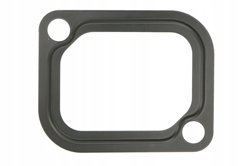 фото №1, Прокладка насоса жидкость охлаждающей mercedes actros