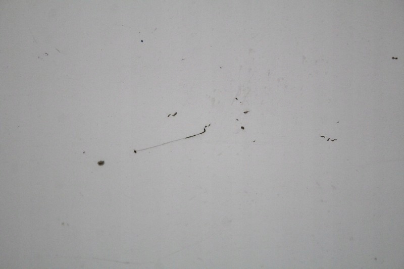 фото №5, Дверь боковой сдвижные правое ewp citroen nemo 08-15