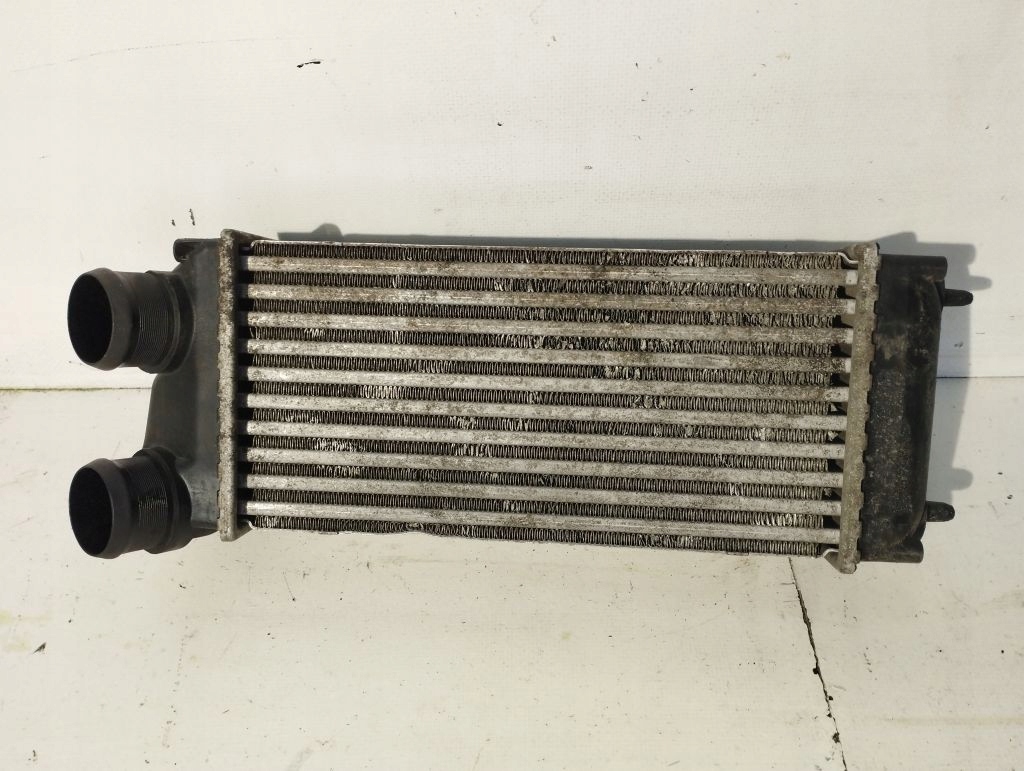 Купити Citroen peugeot hdi інтеркулер 876923je