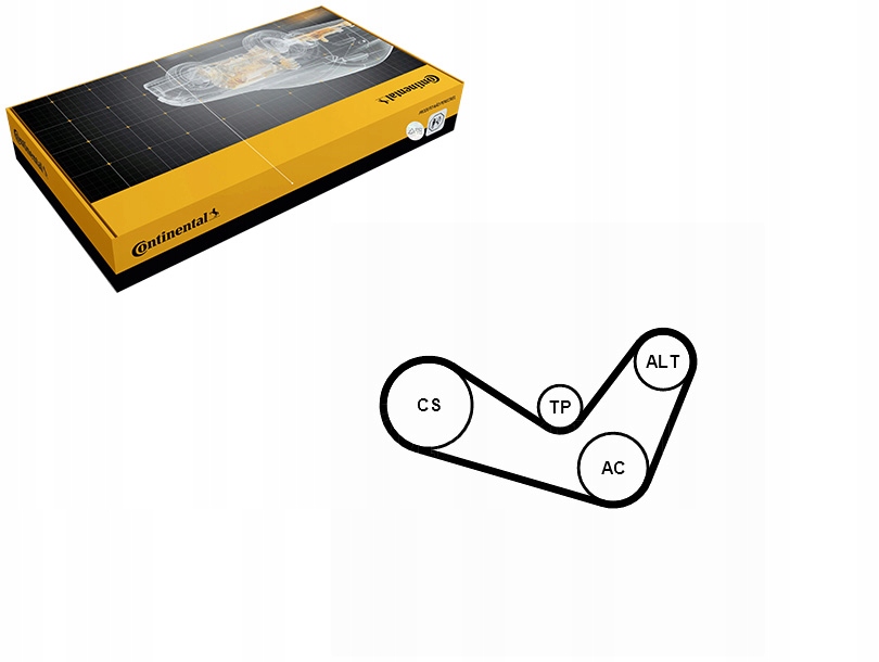 фото №1, Набор ремни многоручейковых с ролики audi a3 seat altea altea xl