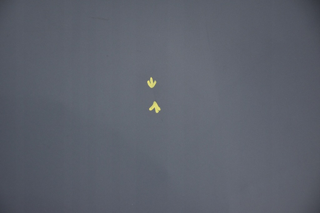 фото №5, Капот кришка двигуна opel insignia a