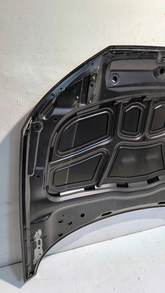 фото №10, Капот крышка двигателя audi a4 b9 8w0