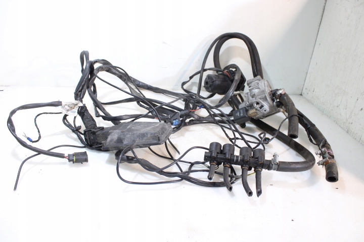 фото №1, Электропроводка lpg seat leon ii 1.6