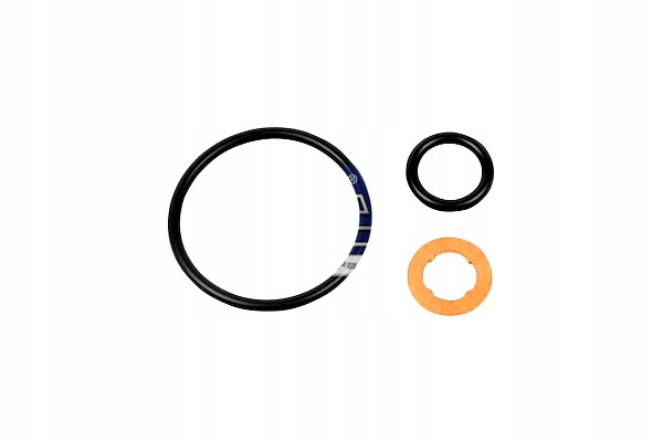 фото №1, Dt spare parts 1.31250 набір ремонтний, насадка упорскування