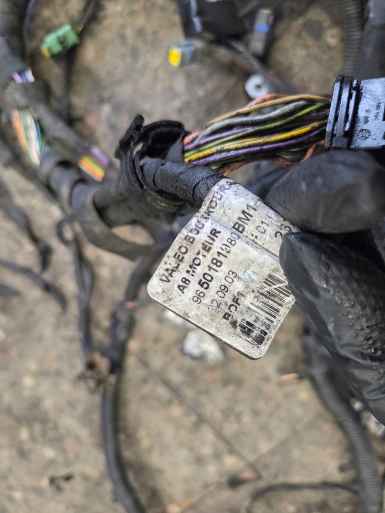 9650181980 электропроводка двигателя bhx citroen c3 1.4hdi 10fd29 02-05 6v Цена