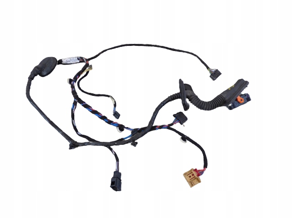 фото №1, Електропроводка джгут двері права перед europa rapid