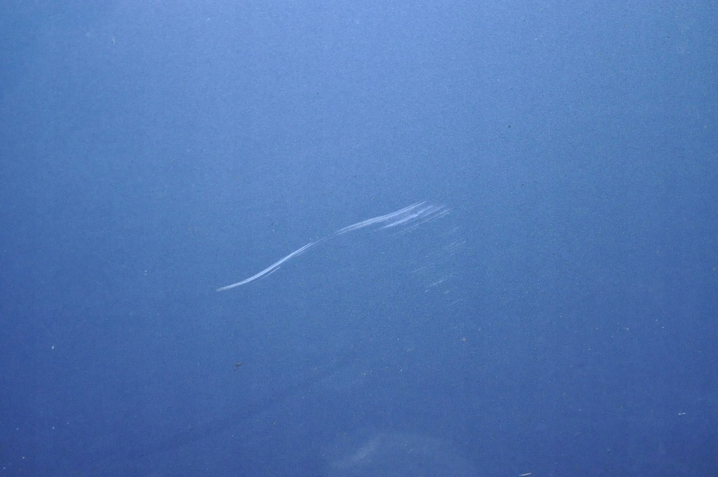 фото №7, Hyundai i40 двері правий перед передні yu6 kpl