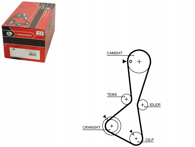 фото №9, Ремінь розподільного валу gates 5374xs md182294