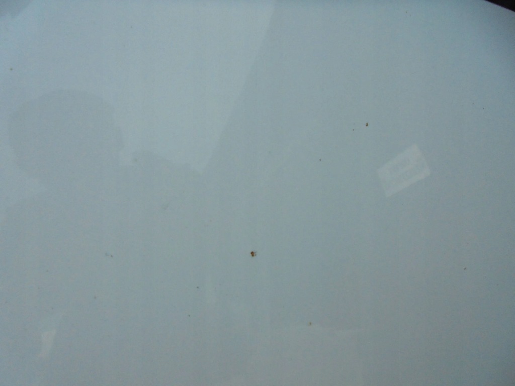 фото №5, Капот kia carens ii 2007 1d