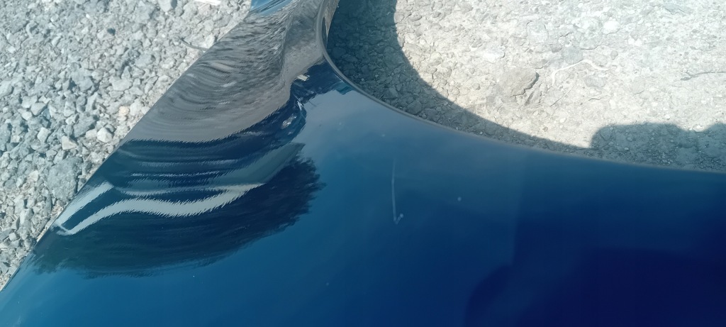 фото №8, Крила передній перед лівий audi a6 c6 04-08