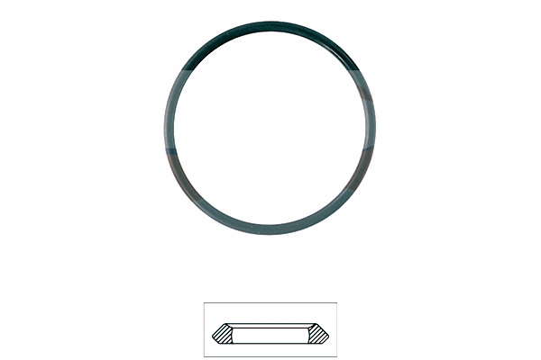 фото №2, Eps 1.890.655 прокладка, термостат