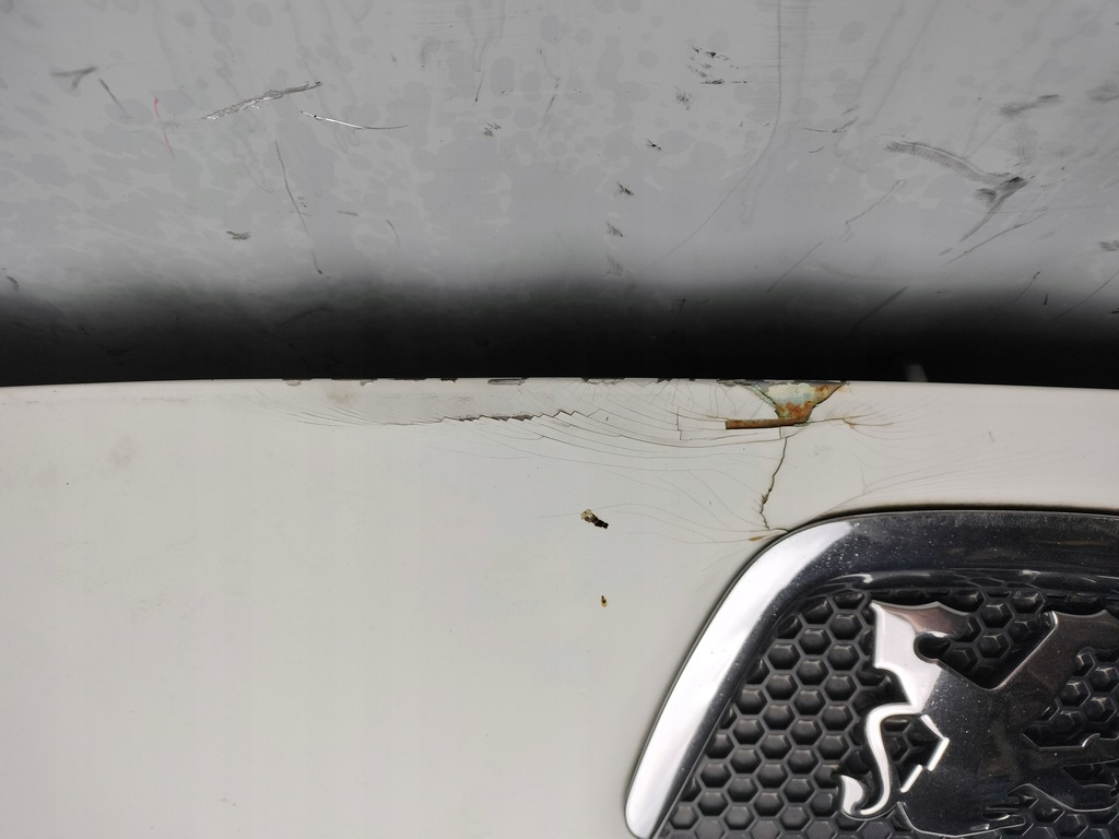 фото №5, Капот peugeot bipper