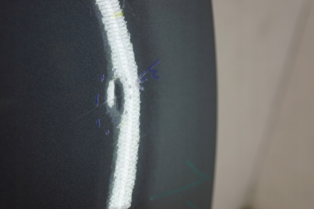 фото №10, Дверь правый задняя skoda superb ii lift lf7y sedan