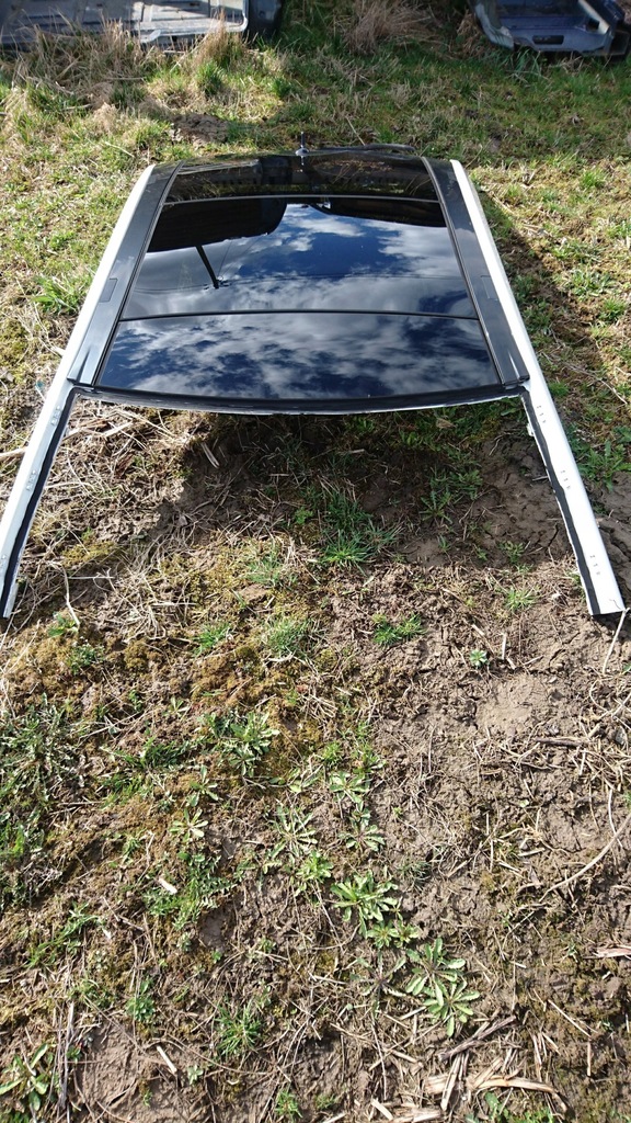 фото №1, Крыша панорама solar w207