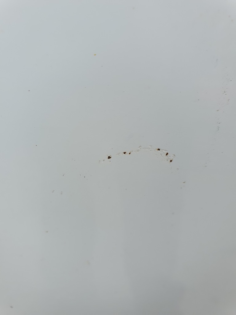 фото №4, Капот kia proceed i