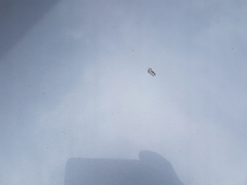 фото №4, Bmw x3 e83 lift капот m-pakiet silbergrau a08