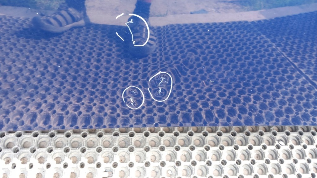 фото №6, Opel zafira b lift капот z21b