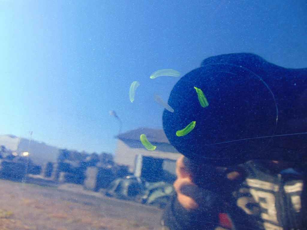 фото №9, Дверь левый задняя volkswagen vw golf vi kombi ld5q