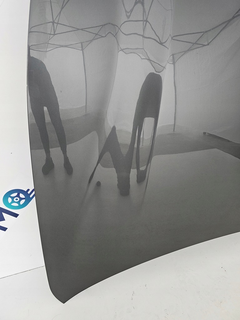 фото №4, Капот ferrari ff