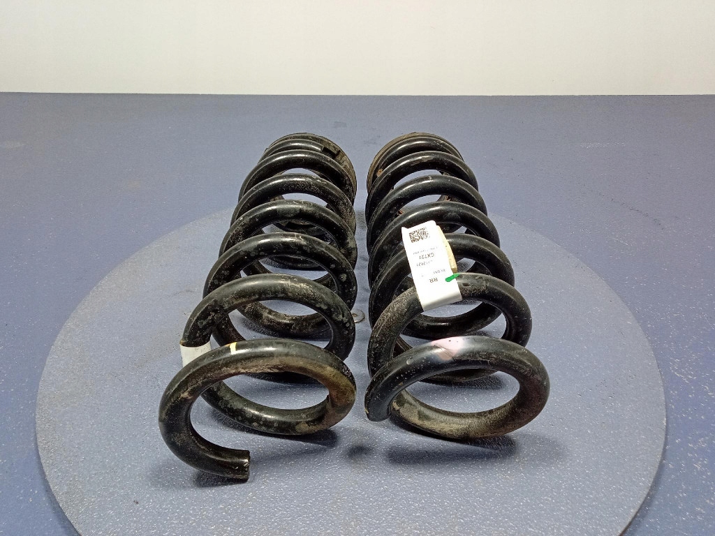 фото №5, Ford mustang mach-e пружини задня задні 2 szt lj9c5560bnf