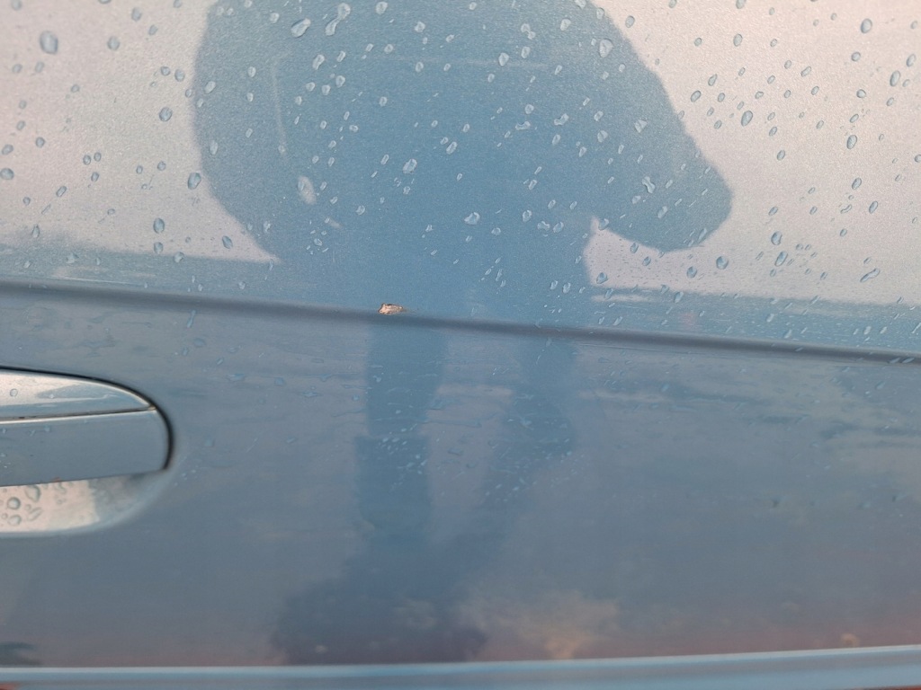 фото №4, Audi a3 дверь правый перед lx5t