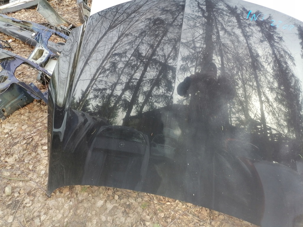 фото №12, Капот opel insignia z20r