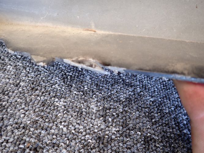 фото №16, Skoda octavia iv бампер передній перед