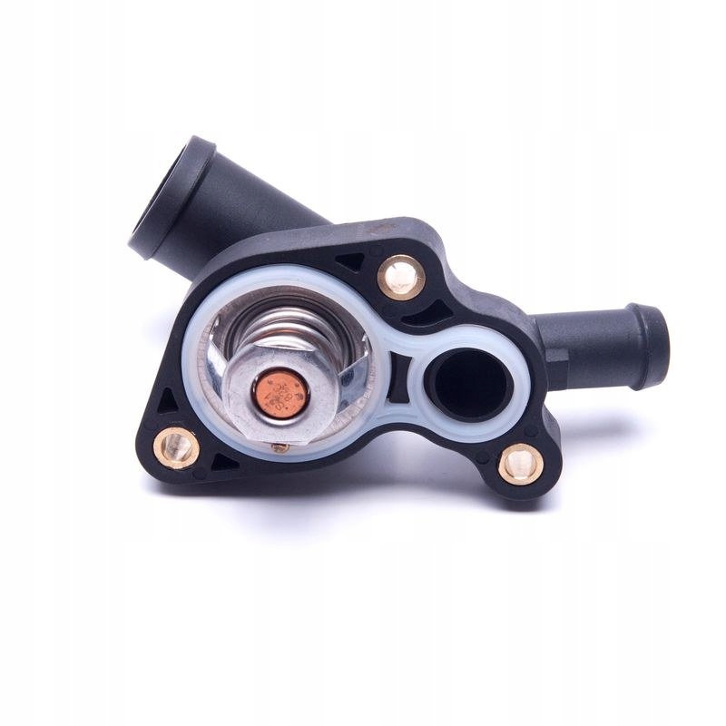 фото №6, Термостат mini r50 r52 r53 11537512733