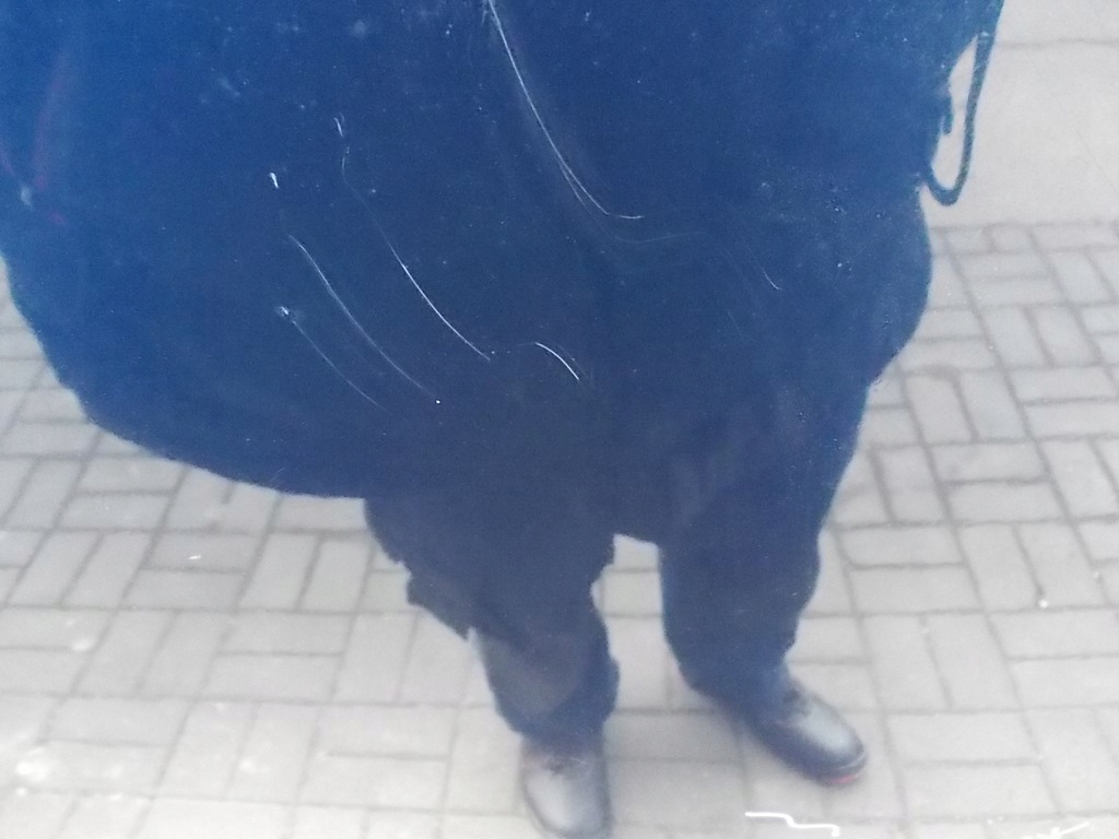 фото №15, Капот opel vectra c signum z20h