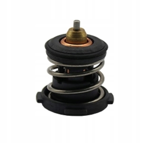 фото №1, Термостат do skoda fabia octavia rapid superb yeti