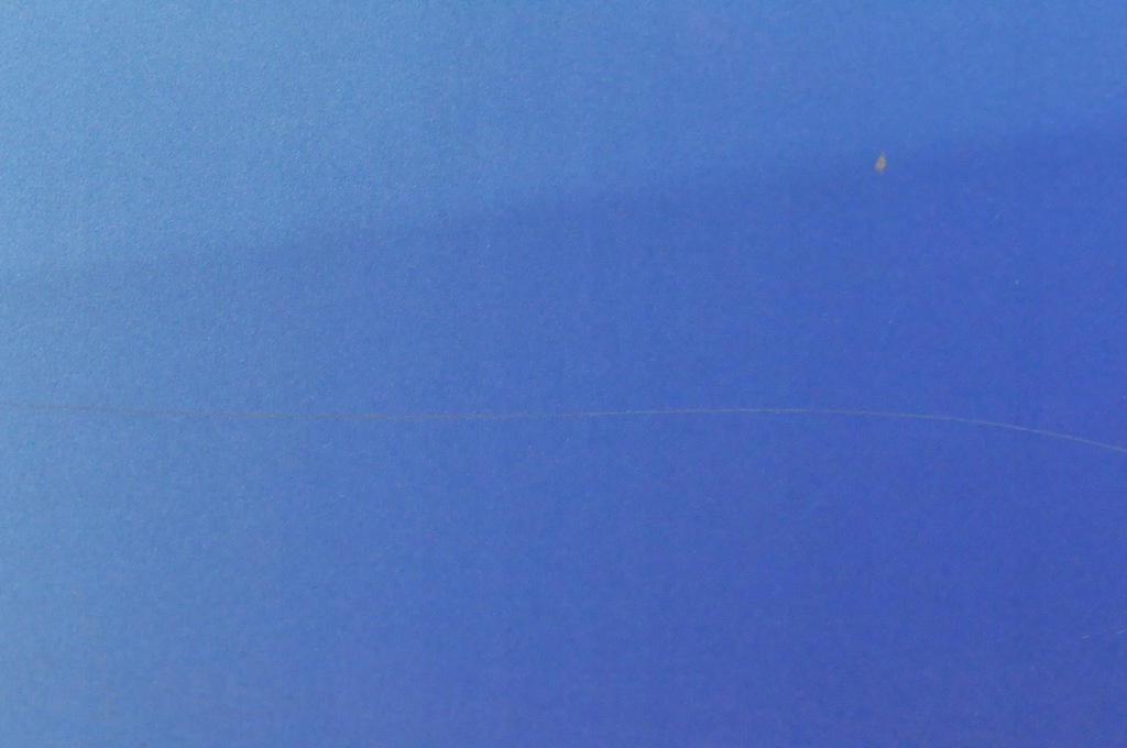 фото №9, Renault scenic iii xmod двері лівий задня задні terpb