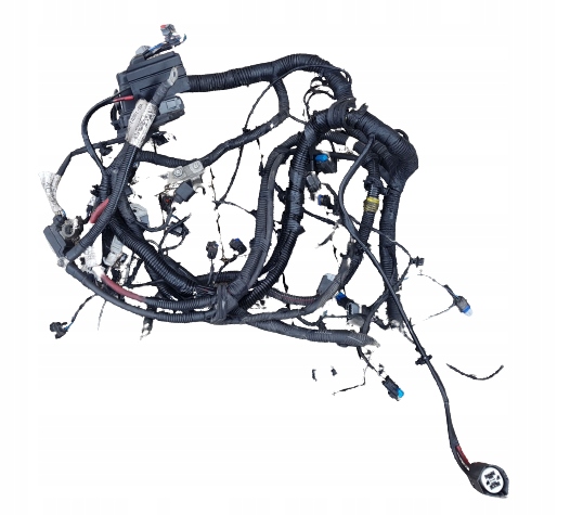 фото №1, Land rover 2.2d freelander ii жгут двигателя org