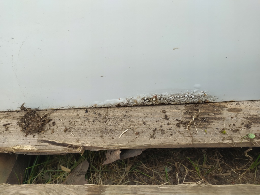 фото №10, Двері задня лівий skoda superb ii 3t0 08-15 sedan