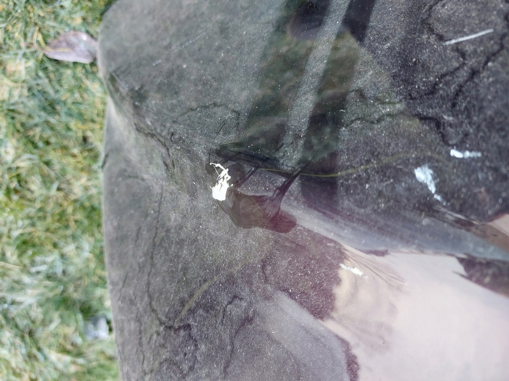 фото №3, Капот citroen ds3 crossback