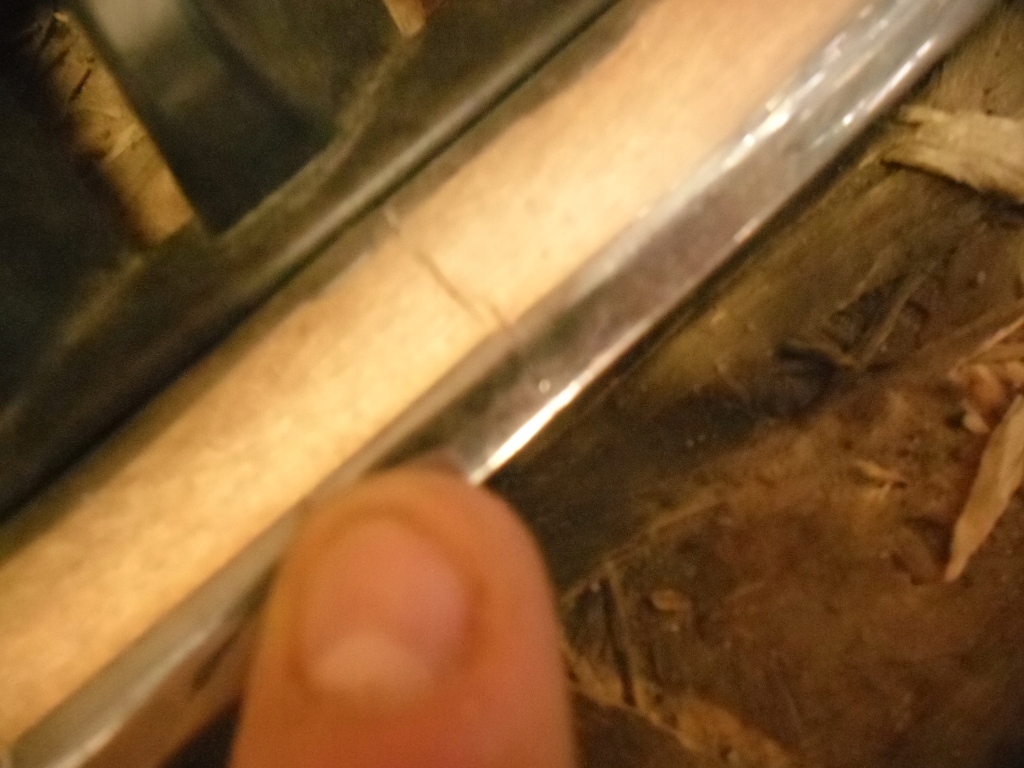 фото №2, Skoda rapid 12- решітка радіатора решітка радіатора 5ja853668