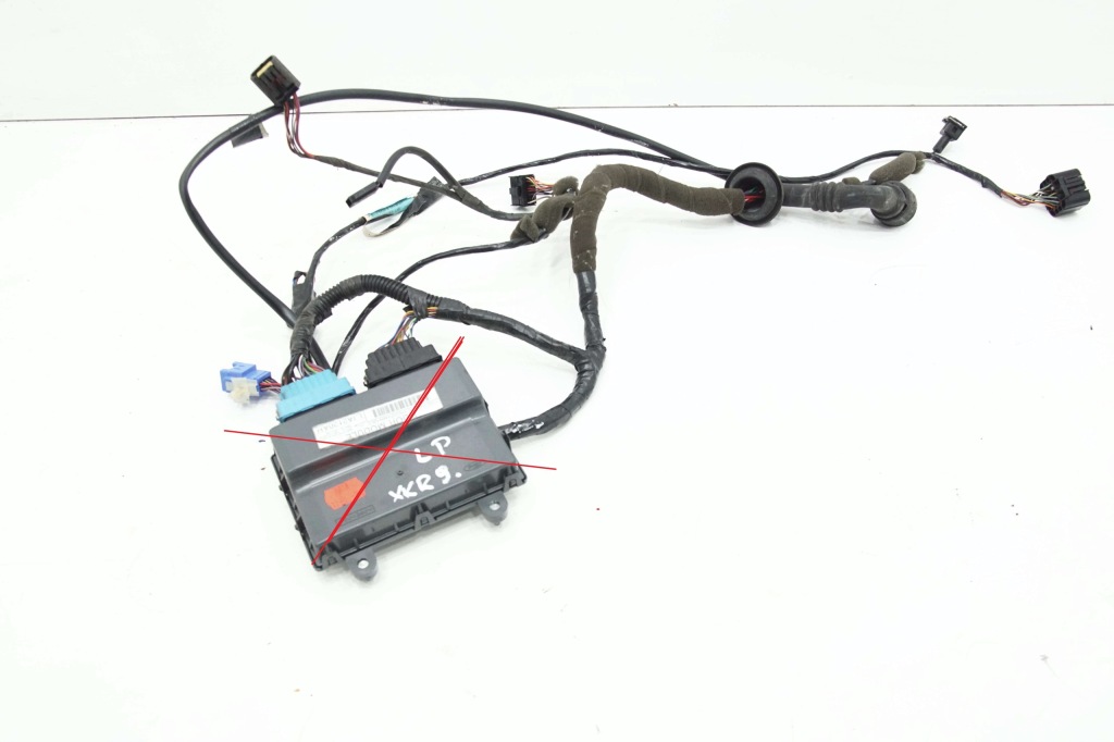 фото №1, Електропроводка джгут двері лівих jaguar xkr xk8 eur